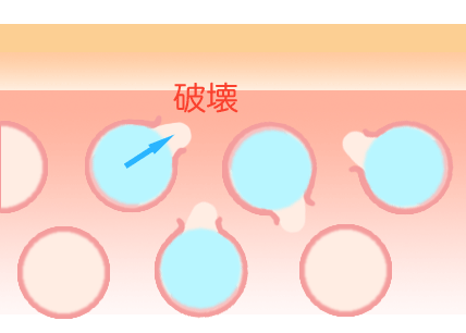 �L���r�e�[�V��������