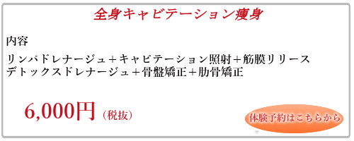 �S�g�L���r�e�[�V�������g